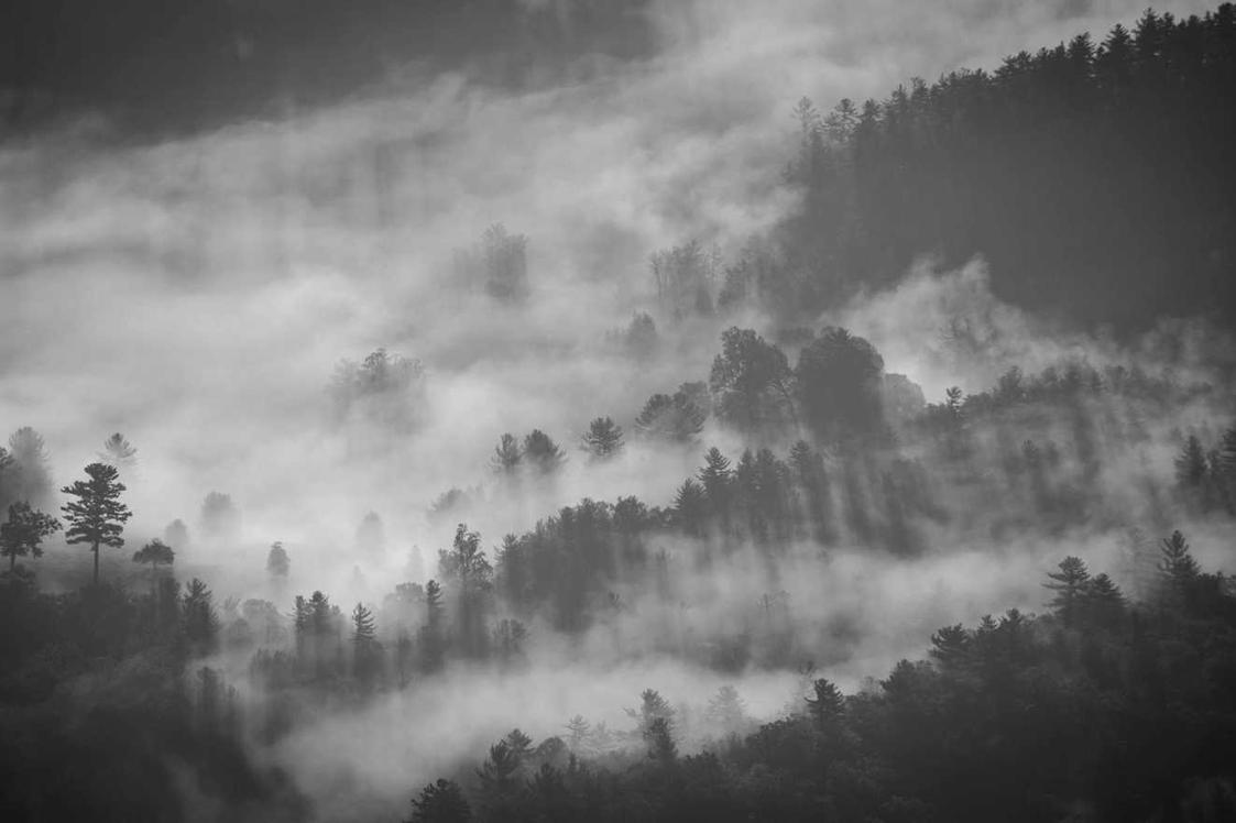 Consequuntur inventore dolorem facilis repellat